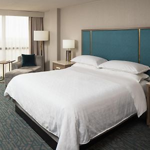 King Room Roll Shower Mobility Accessible